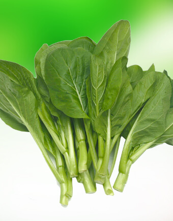 yu choy chinese