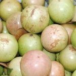 Vietnam-grown star apples head for US