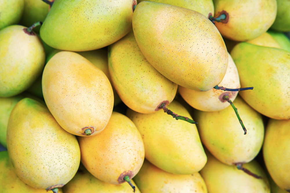 First Vietnamese mangos exported to US Lam's Seafood